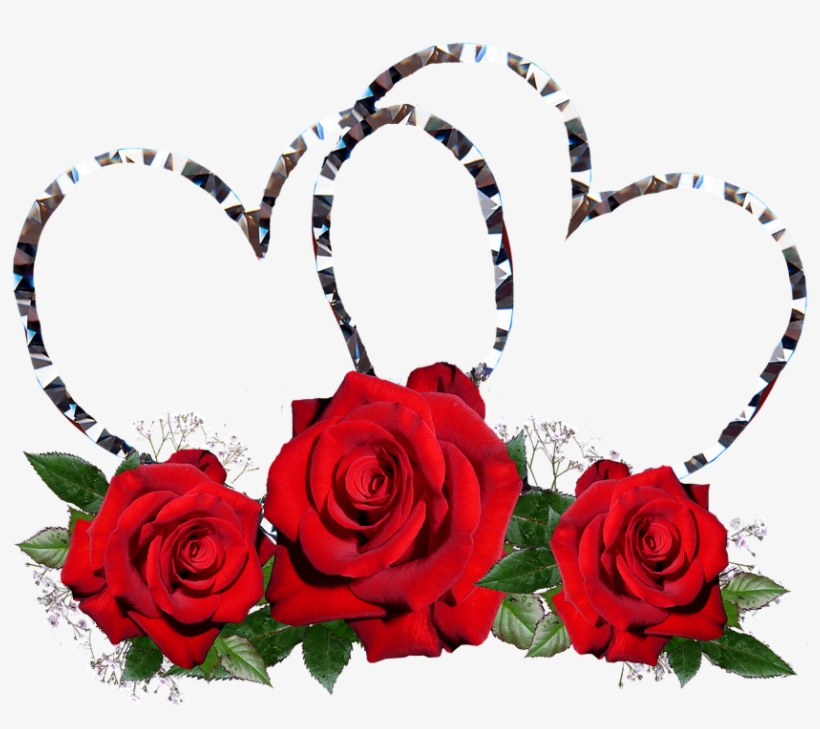 Red Roses, Hearts, Valentine, Romance - Red Roses And Hearts, transparent png