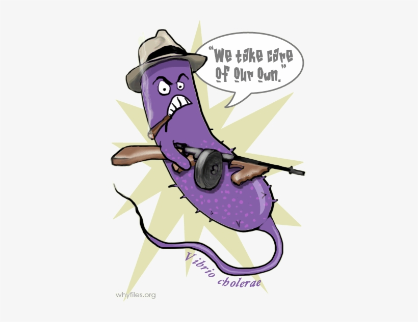 Social Critters The Why Files Vibrio As - Cartoon, transparent png