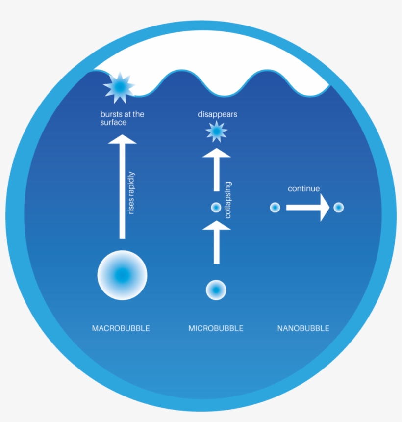 At This Depth Air Inside The Bubble Is Dissolved Into - Circle, transparent png