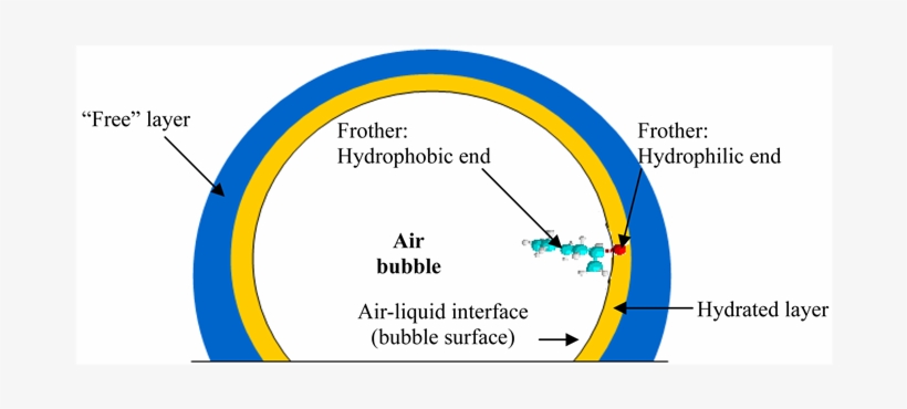 Frother Alignment At The Bubble Surface And The Formation - Diagram, transparent png