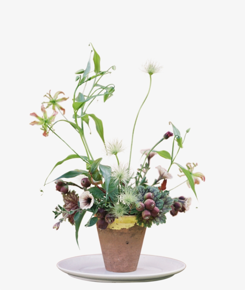 Flowers And White Plate2 - Orchids, transparent png