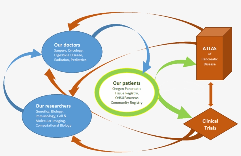 About Us - Bccpc, transparent png