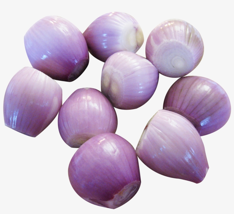 Peeled Shallots Png Image - Shallots Png, transparent png