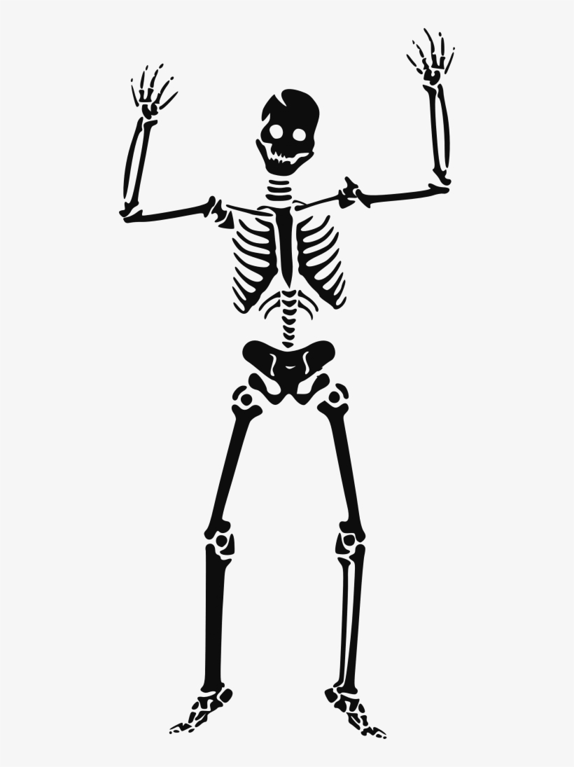 Free Png Skeleton, Skull Png Images Transparent - Skeleton Clipart, transparent png
