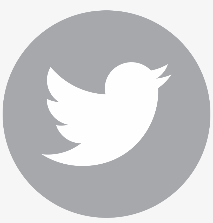 Watch Our Next Wave Product Launch Livestreams - Twitter Logo Grey Vector, transparent png