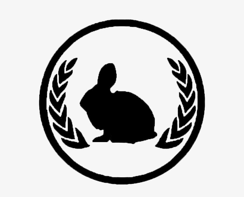 Boston Underground Film Festival Unveils First Wave - Senior Awards Night 2018, transparent png