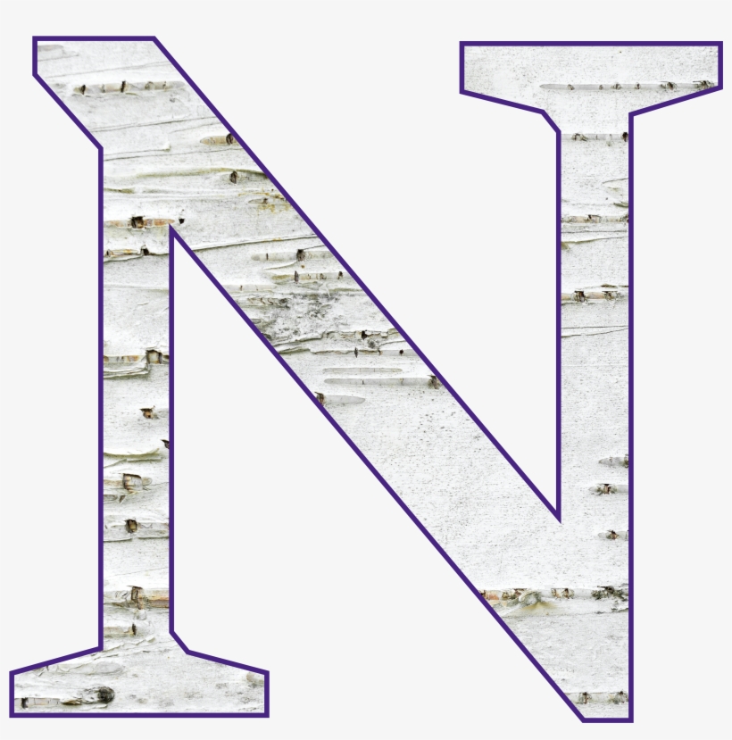 Birch With Purple Outline - N Fire Letter, transparent png