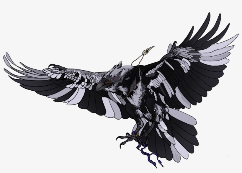 Mischievous - Raven Trickster, transparent png