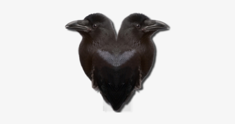 The Concept For Ravens - Wiccan On Transparent, transparent png