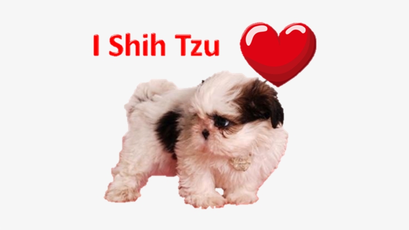 Anime & Games Accessories - Mal-shi, transparent png