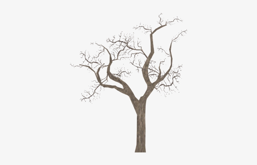 Leafless Tree - Zoo Tycoon 2, transparent png