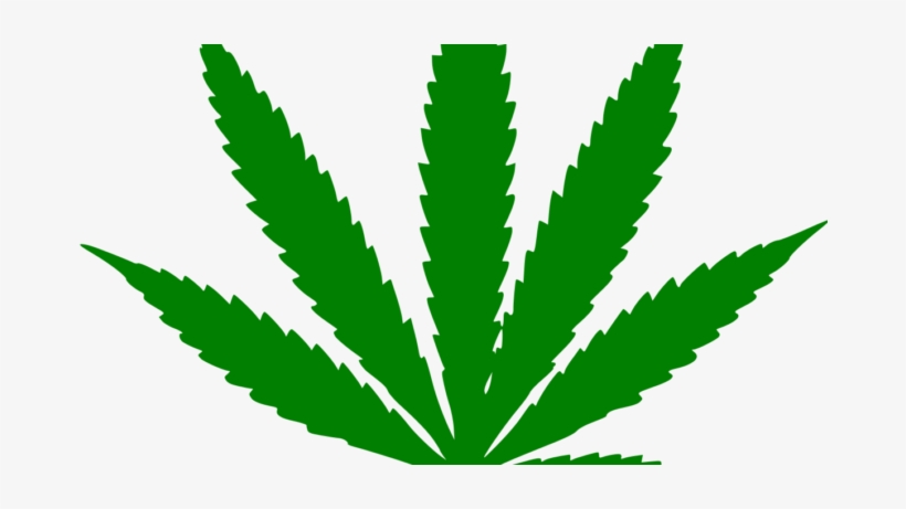Weed Plant Black And White, transparent png