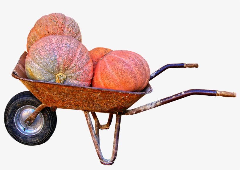 Pumpkin, Giant Pumpkin, Wheelbarrow, Autumn - Persimmon, transparent png