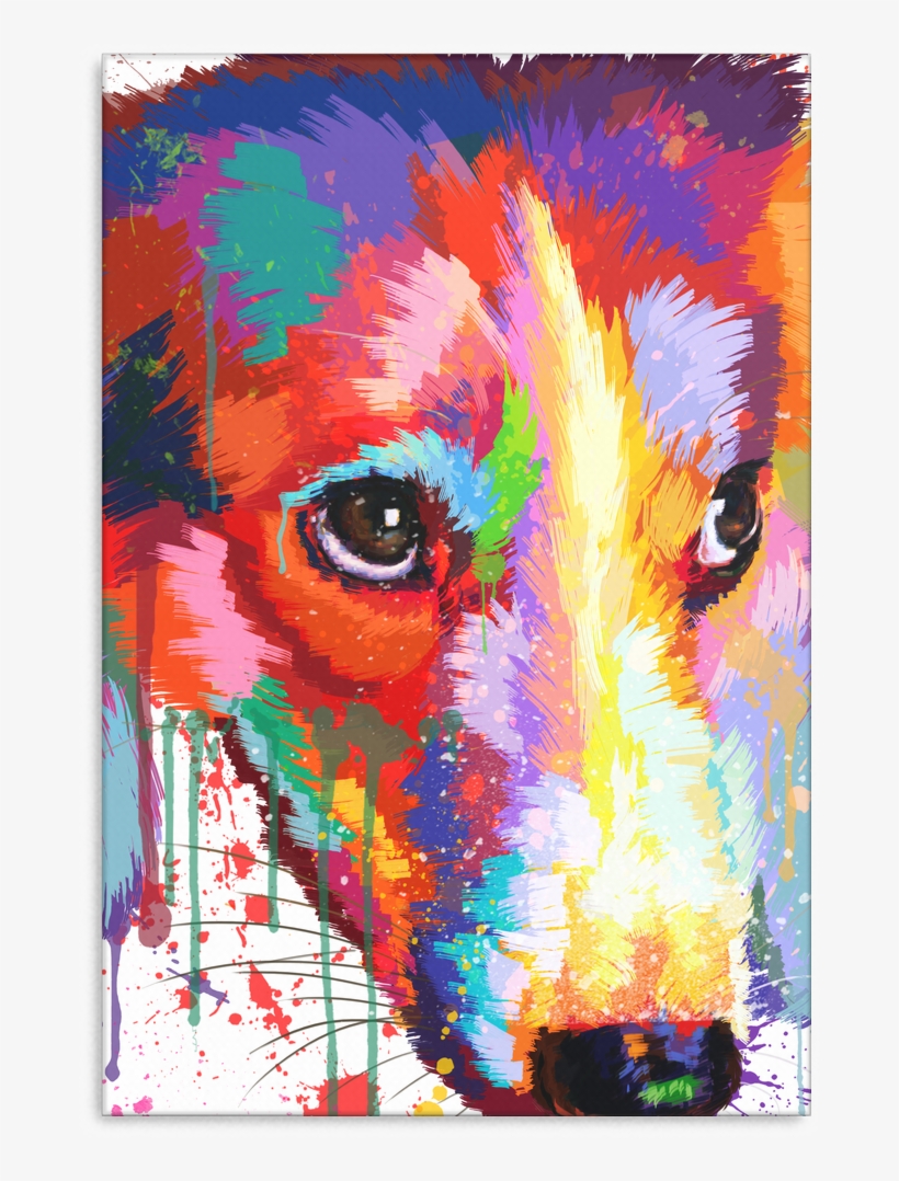 Border Collie Canvas A70 - Border Collie, transparent png
