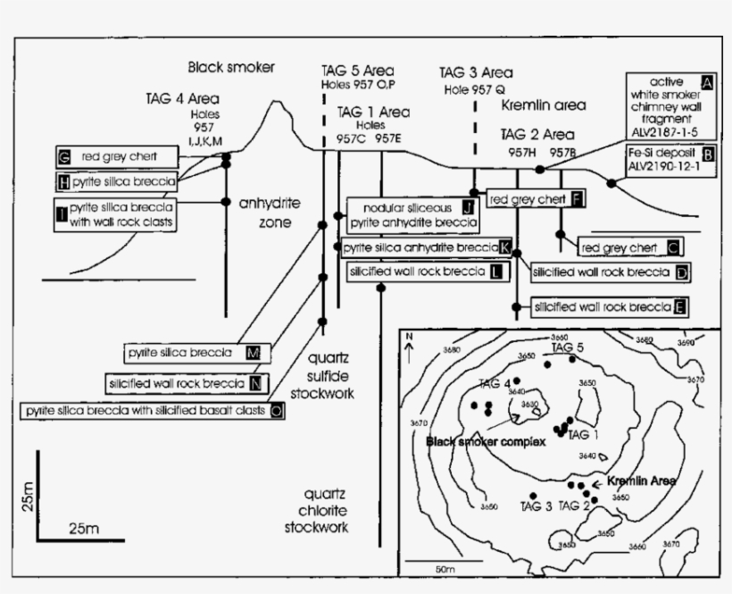 Schematic Diagram Showing The Approximate Positions - Diagram, transparent png