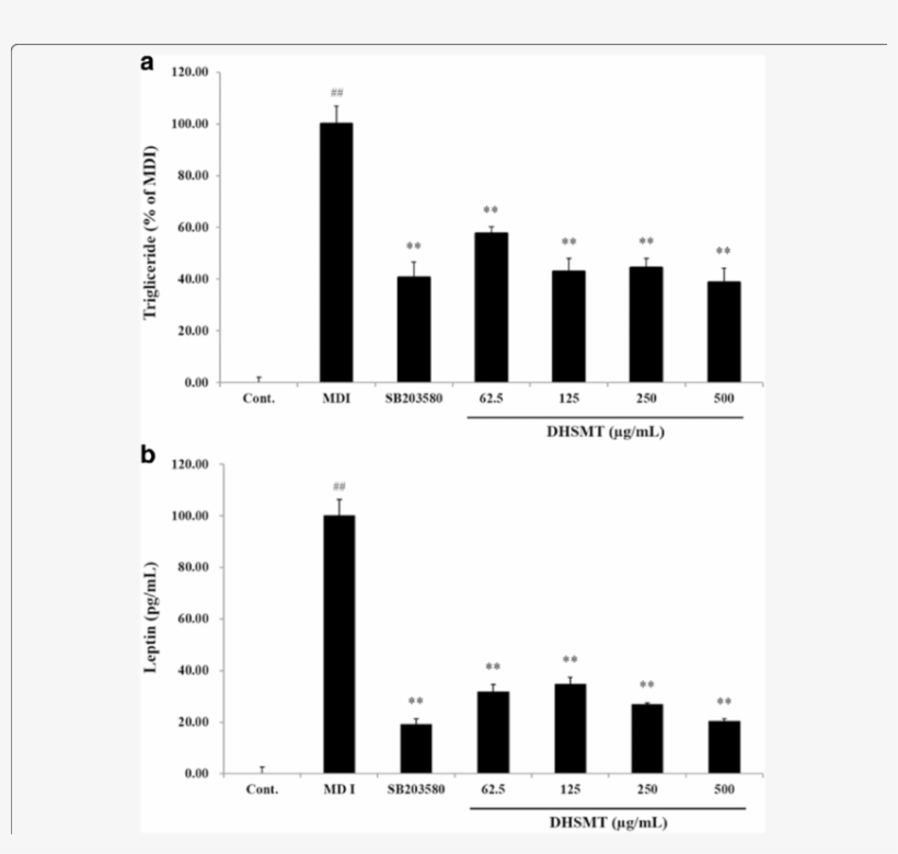 Nhibitory Effect Of Dhsmt On Triglyceride And Leptin - 3t3-l1, transparent png