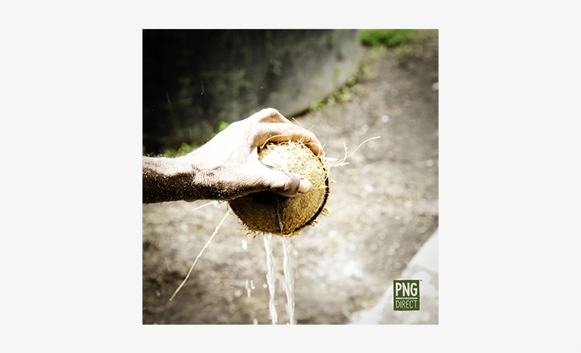 Virgin Coconut Oil From Vunakanau East New Britain - New Britain, transparent png