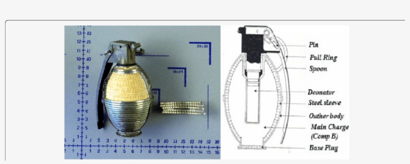Dm 41 Hand Grenade Steel Sleeve And Dm 41 Hand Grenade - Shrapnel Vs Fragmentation Gif, transparent png