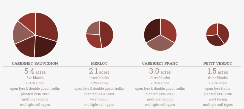 The Vines Are Cane Pruned And Trained To Both The Open - Portable Network Graphics, transparent png