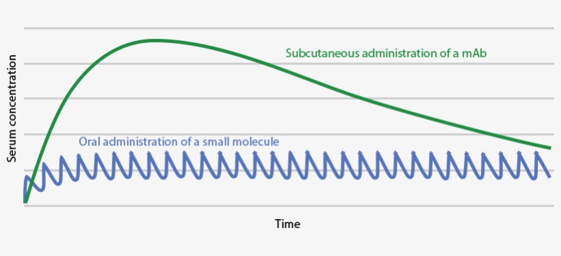 Oral Delivery Is Not Feasible Because Of Gastrointestinal - .com, transparent png