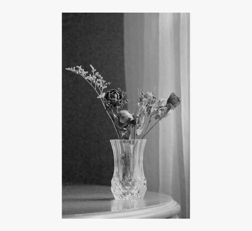 Vase, transparent png