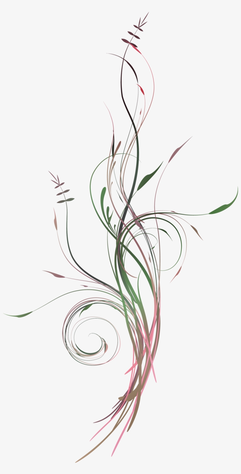ʙ-ʙɪᴛᴇ ᴍᴇ ↪ʙᴀʙʏ - Flower Png Vertical, transparent png
