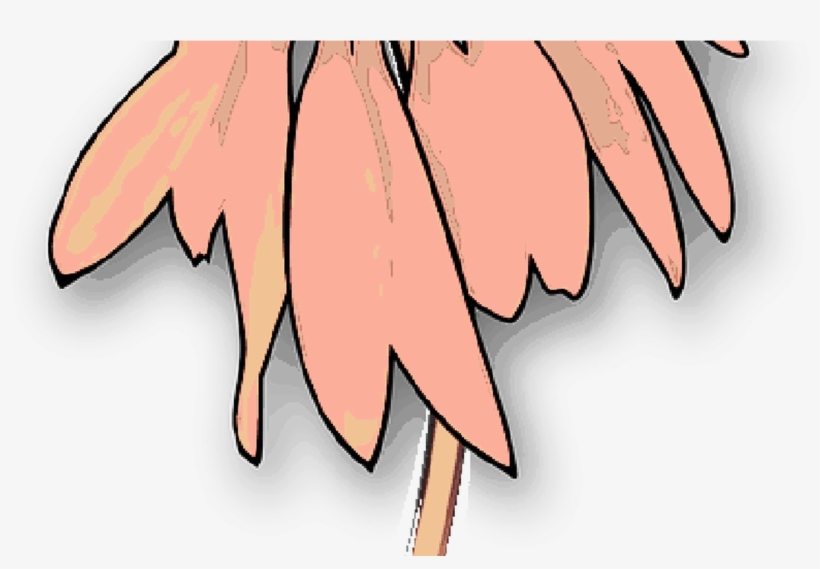 Dead, Drawing, Plants, Flower, Flowers, Cartoon, Plant - Clip Art, transparent png