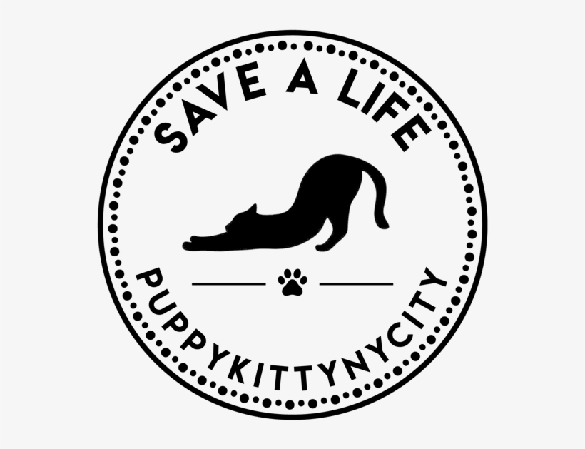 Pknyclogo2, transparent png