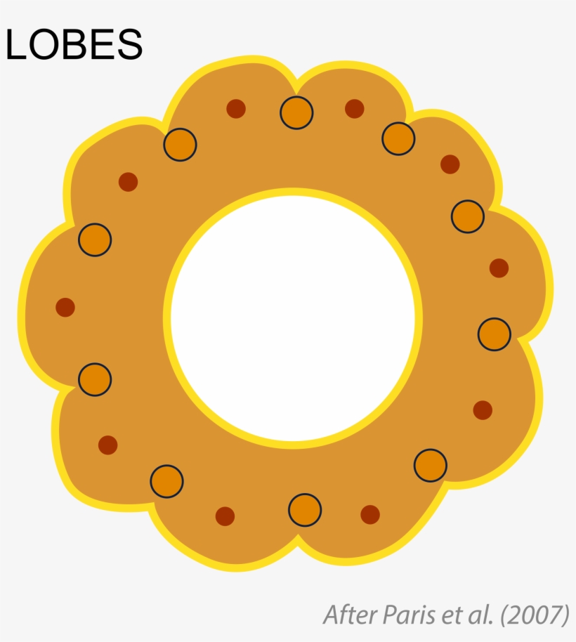 Casino logo круг. Open circles. Non-circle opening. Open circles. 3d circle for photoshop.