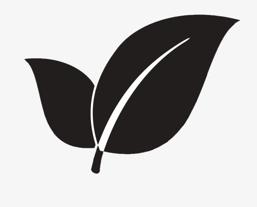 Eco, transparent png