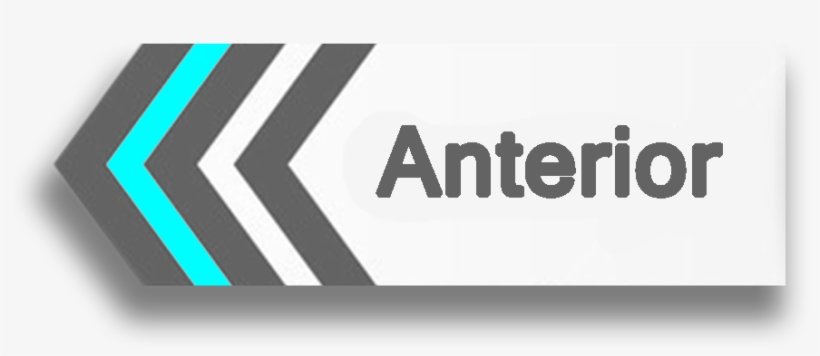 Previous - Graphic Design, transparent png