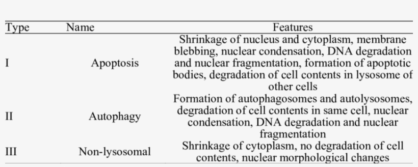 Types Of Pcd Recognized In Animal Cells - Cell, transparent png