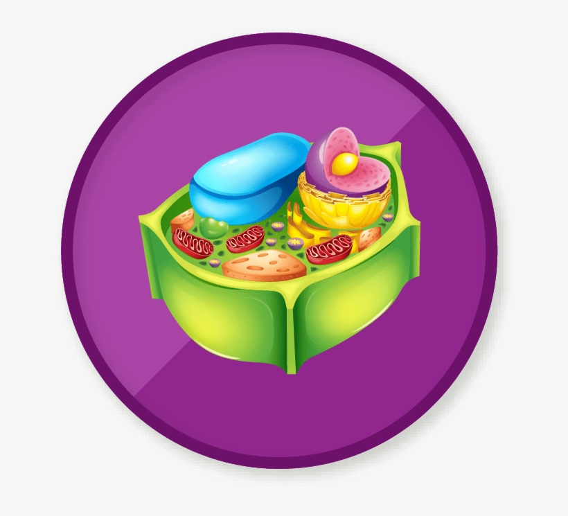 Win A Badge - Plant Cell Vector, transparent png