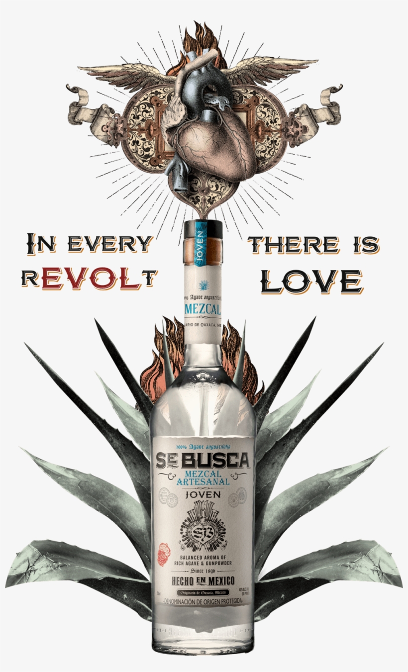 Se Busca Mezcal, transparent png