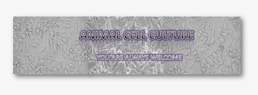Cell Culture, transparent png