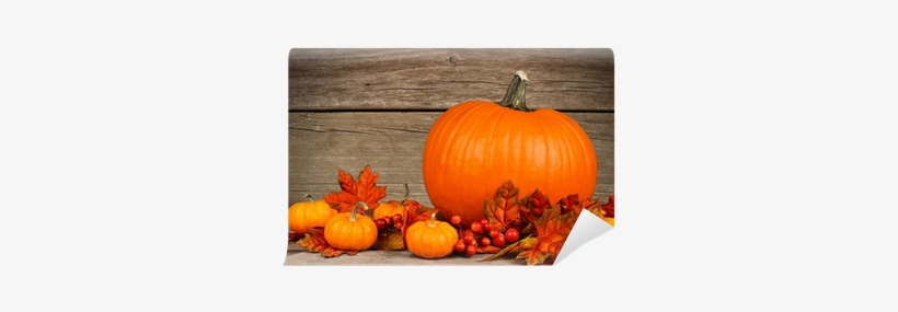 Bottom Border Of Colorful Autumn Leaves On A Rustic - Tapety Na Pulpit Dary Jesieni, transparent png