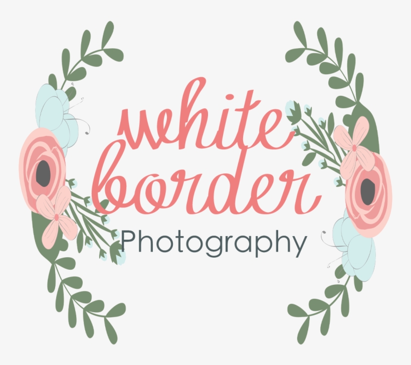 White Border Photography - Rose, transparent png
