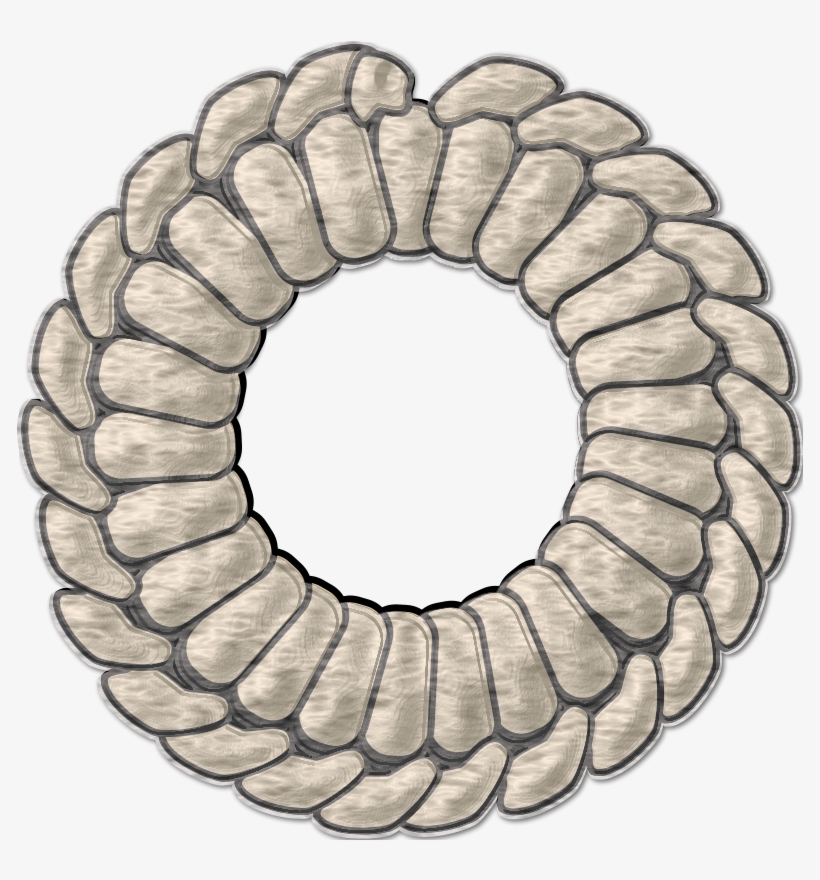 Clip Art, transparent png
