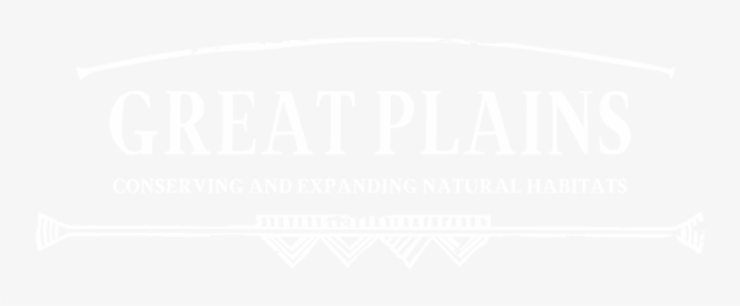 Ps4 Logo White Transparent, transparent png