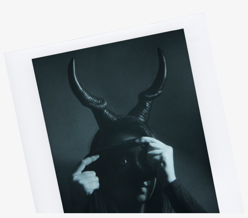 Deer, transparent png