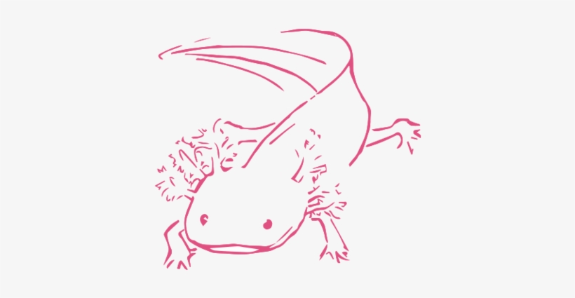 Transdisciplinary Research Brings A Diversity Of Knowledge - Drawing, transparent png