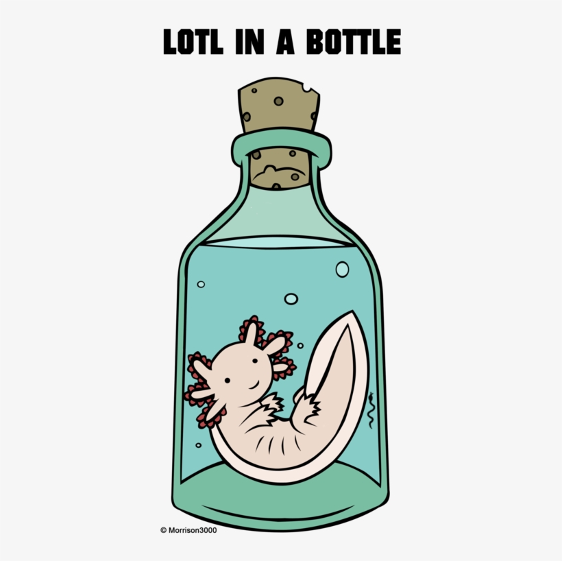 More Like Know Your Axolotl By ~morrison3000 - Axolotl Toys Transparent, transparent png