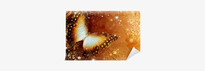 Wallet, transparent png