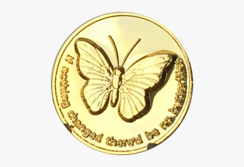 Butterfly If Nothing Changed There'd Be No Butterflies - Alcoholics Anonymous, transparent png