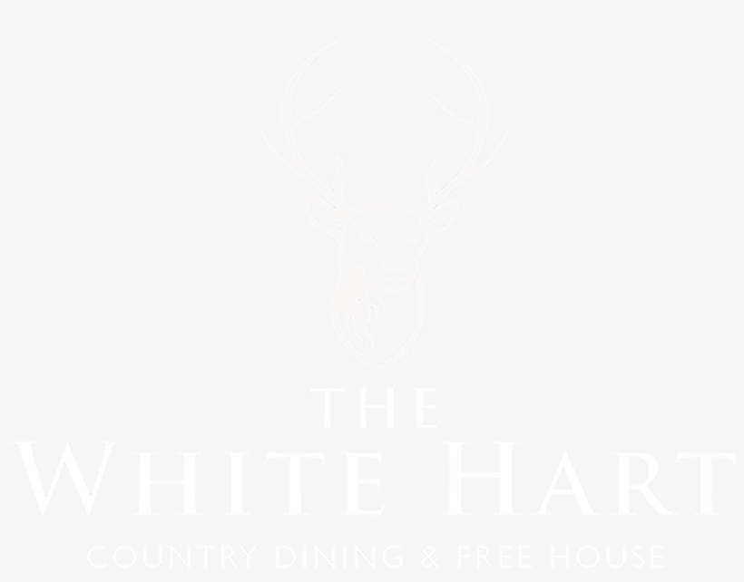 Sketch, transparent png