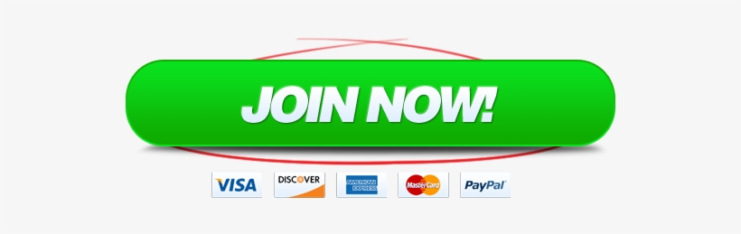 Live Q&a Replay Everything You Want To Know About Frequent - Paypal, transparent png