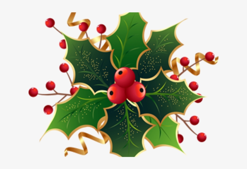 Christmas Holly, transparent png