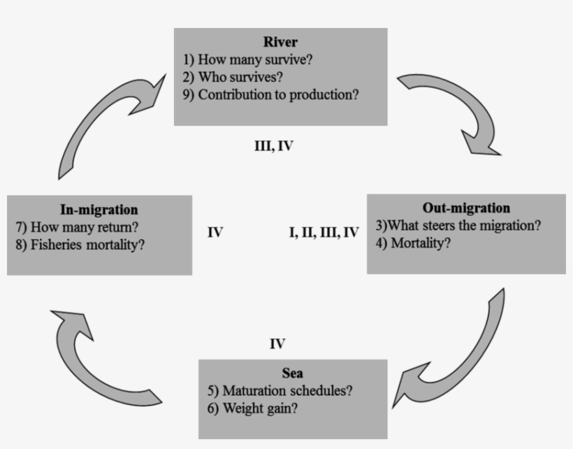 Research Objectives Of The Thesis - Research, transparent png