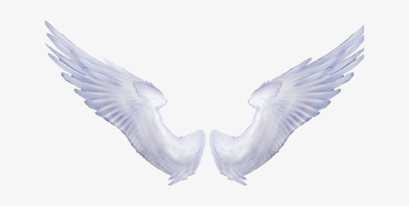 Angel Wings Transparent, transparent png