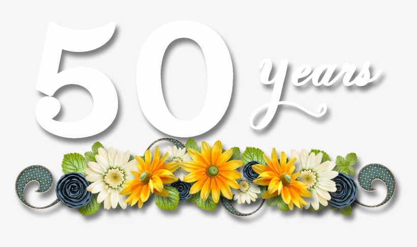 2018 Grand Family Reunion - Kissen - Gänseblümchen Auf Basketweave/basketweave, transparent png